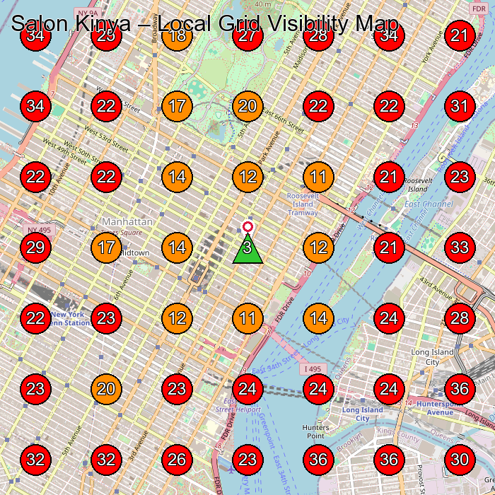 Salon Kinya GeoGrid visibility map for Hair Salon in New York